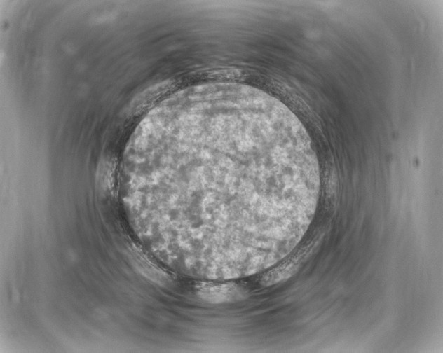 X0000087010185200705141840