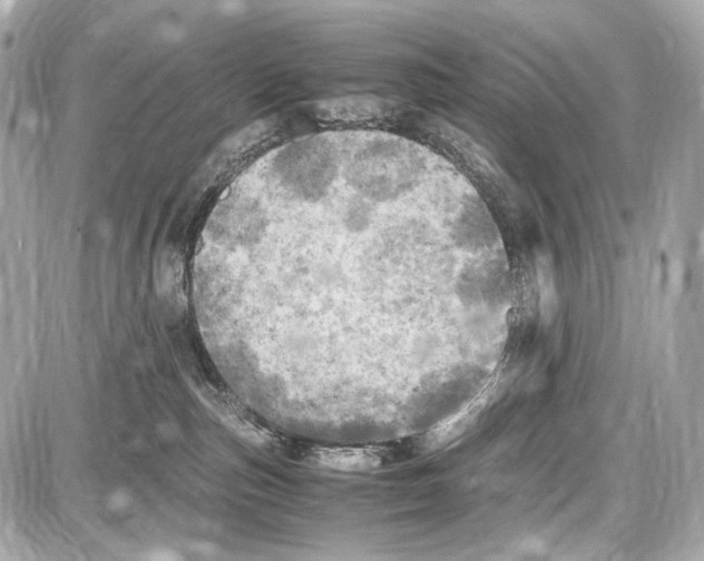 X0000087010187200705141840