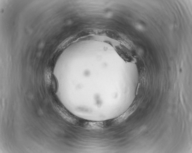 X0000087010188200705141840