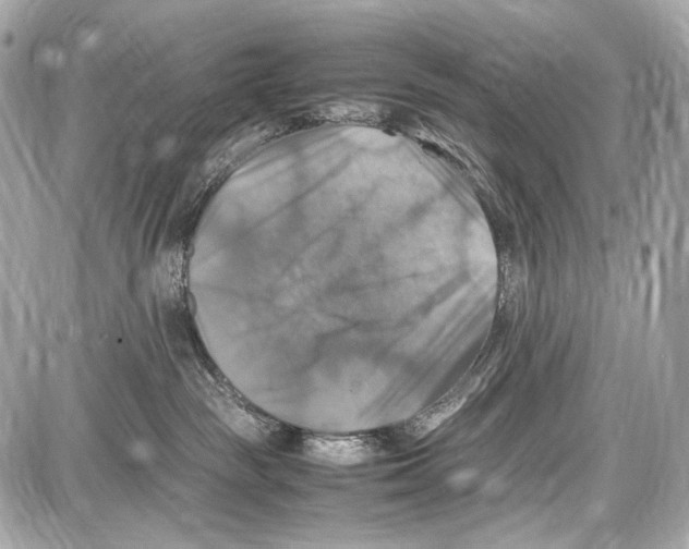 X0000087010189200705141840