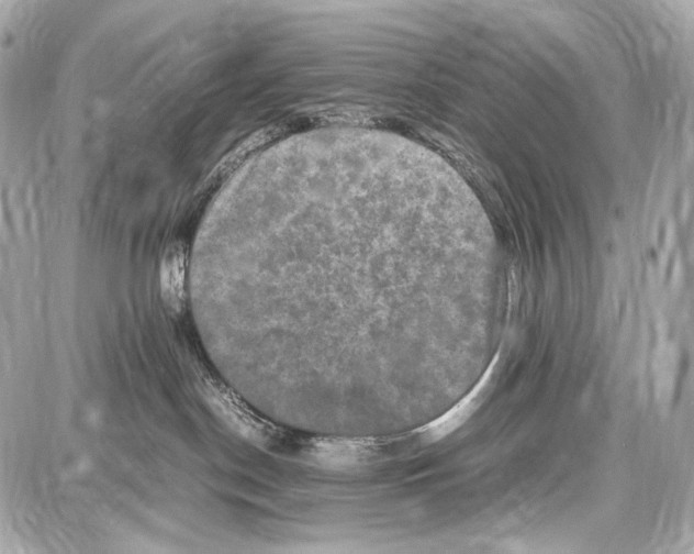 X0000087010190200705141841