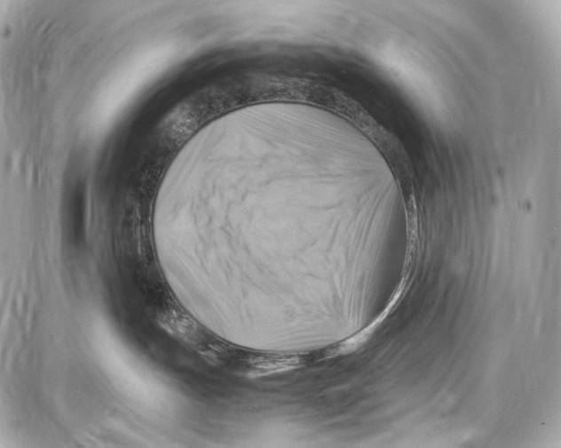 X0000087010191200705141841