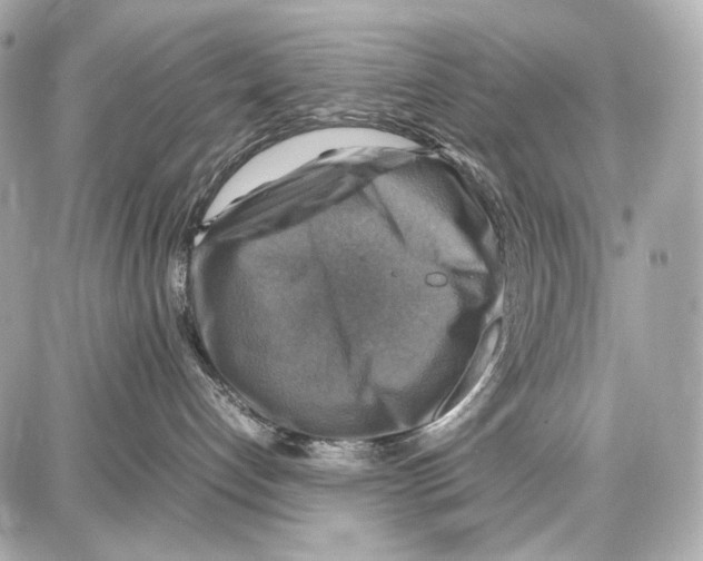 X0000087010192200705141841