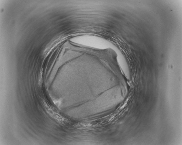 X0000087010194200705141840