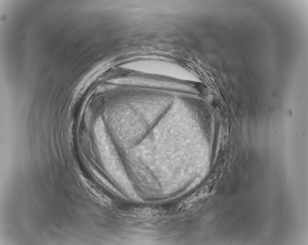 X0000087010197200705141840