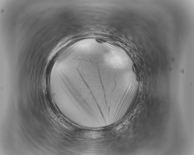 X0000087010198200705141840