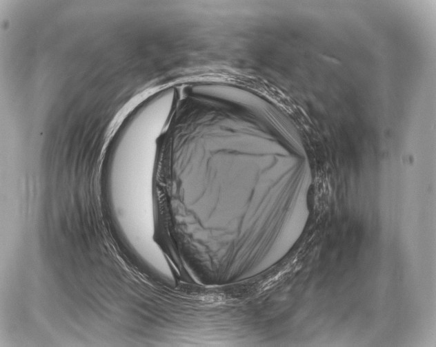 X0000087010200200705141840