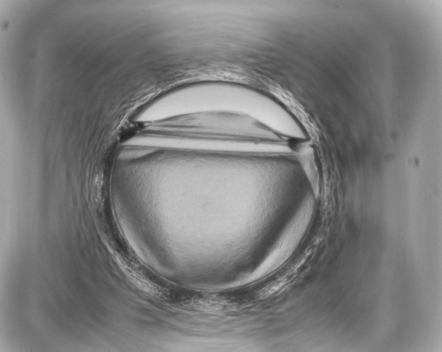 X0000087010201200705141840