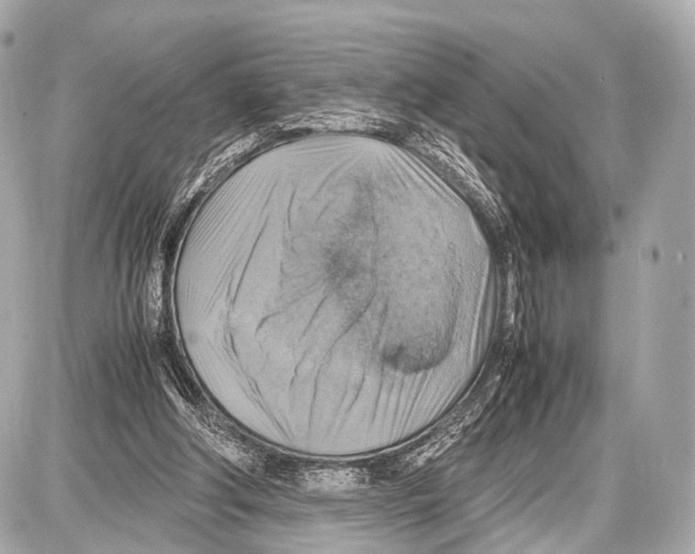 X0000087010202200705141840