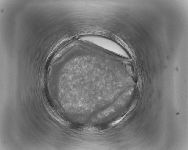 X0000087010203200705141840