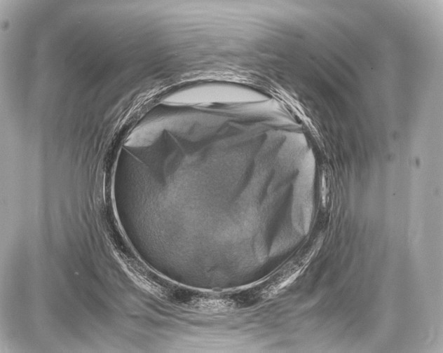 X0000087010205200705141840