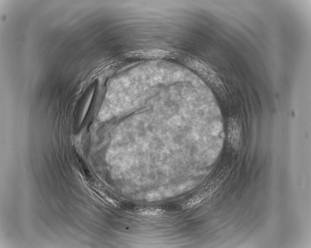 X0000087010206200705141840