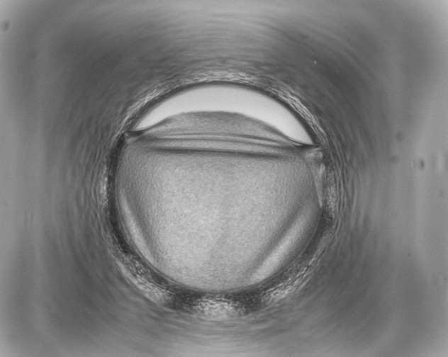 X0000087010207200705141840