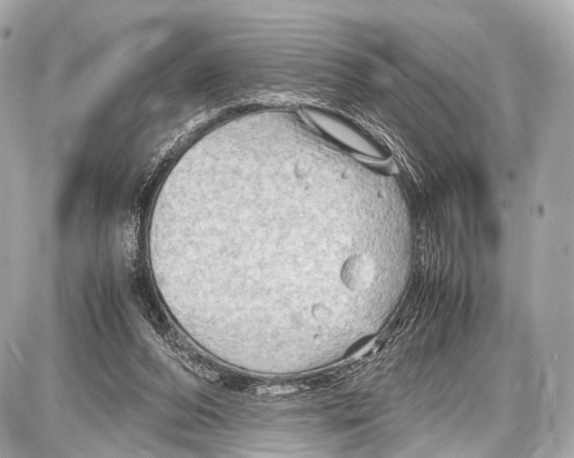 X0000087010208200705141839