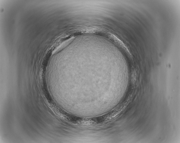 X0000087010209200705141839