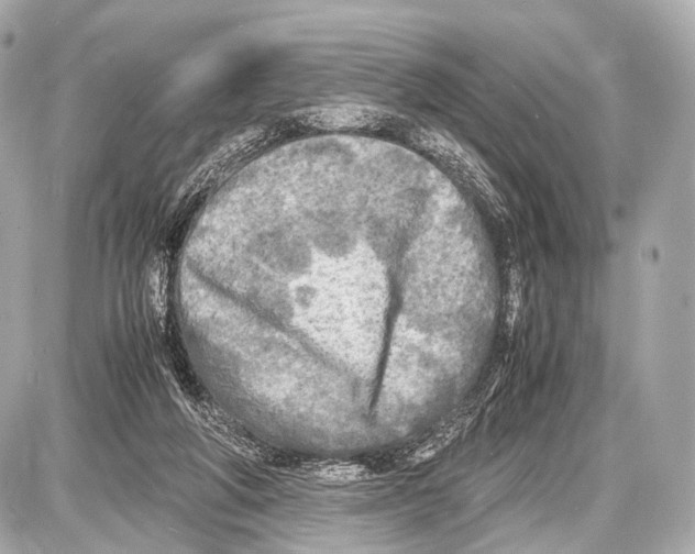 X0000087010210200705141839