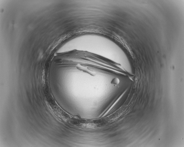 X0000087010212200705141839