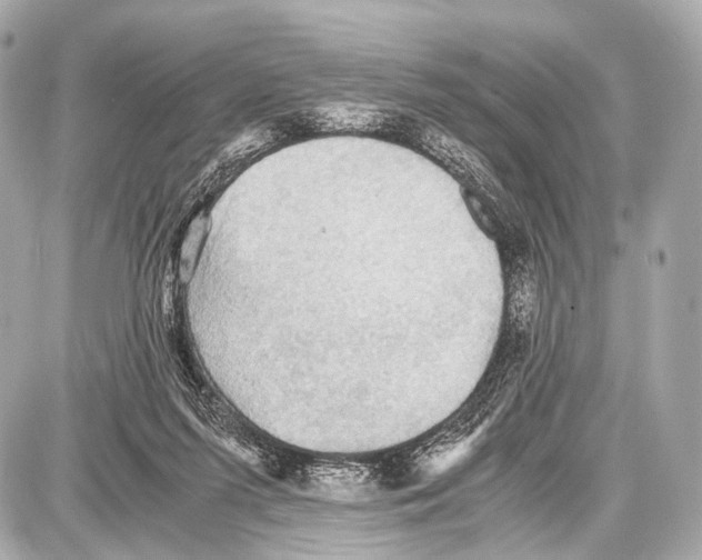 X0000087010215200705141839