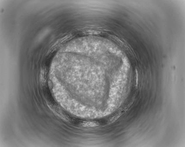 X0000087010218200705141839