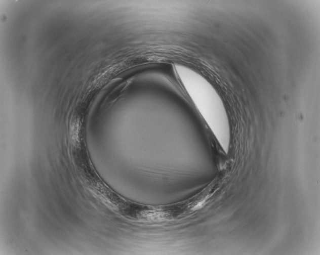 X0000087010219200705141839