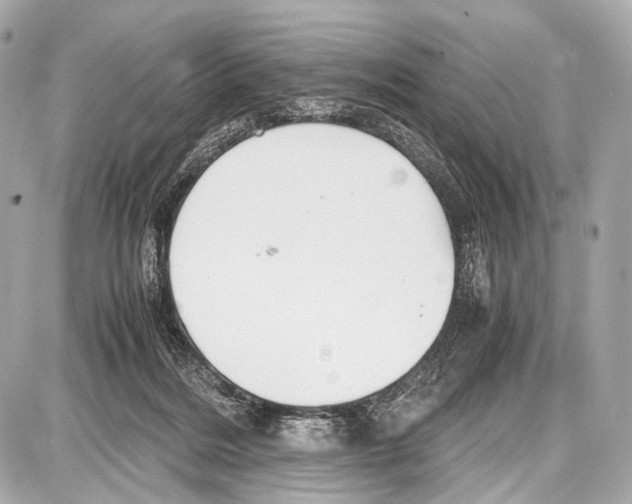 X0000087010220200705141839