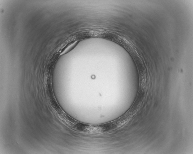 X0000087010221200705141839