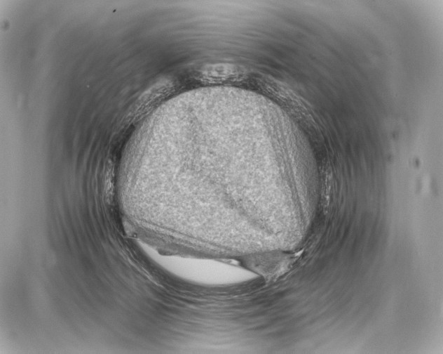 X0000087010226200705141839