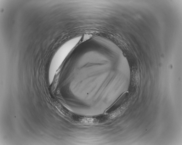 X0000087010227200705141839