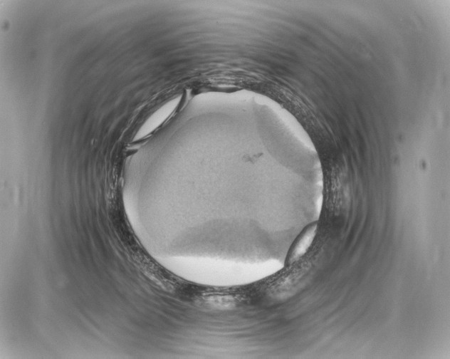 X0000087010228200705141839