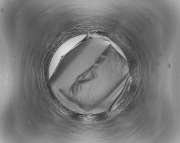 X0000087010229200705141839