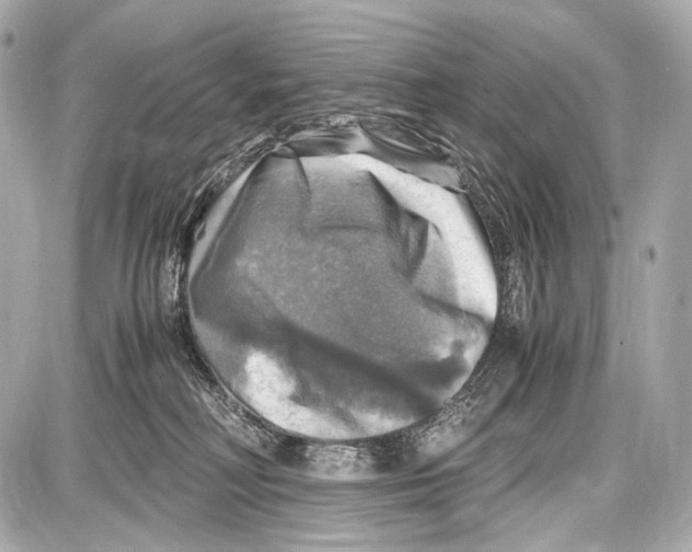 X0000087010230200705141839