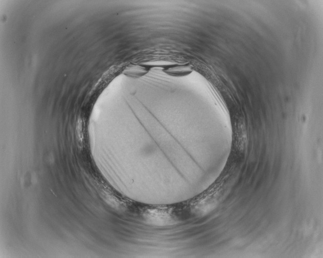 X0000087010232200705141839