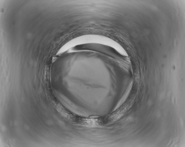 X0000087010233200705141839