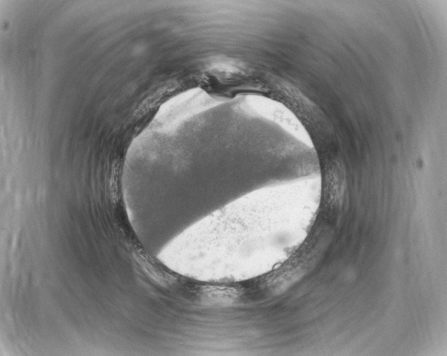 X0000087010234200705141839