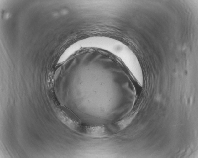 X0000087010237200705141839