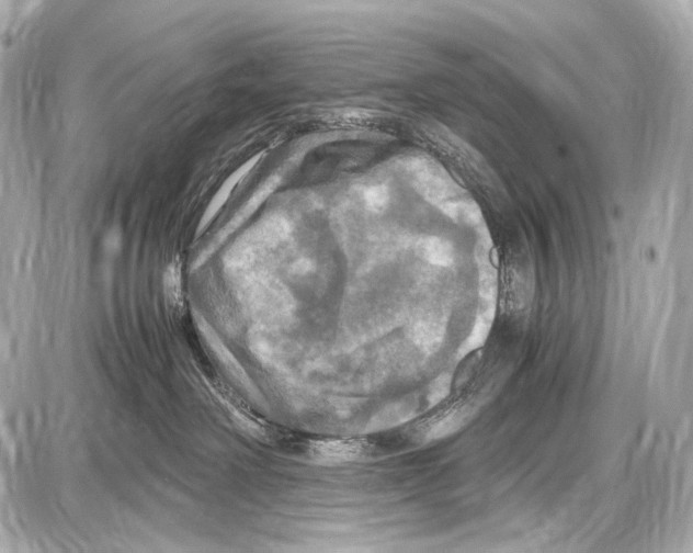 X0000087010238200705141839