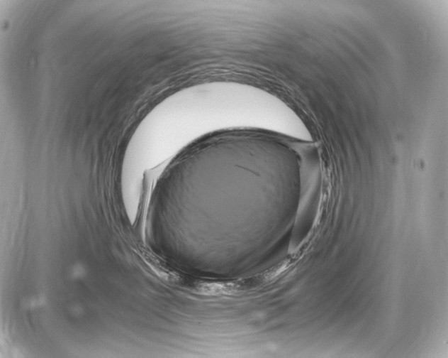 X0000087010239200705141839