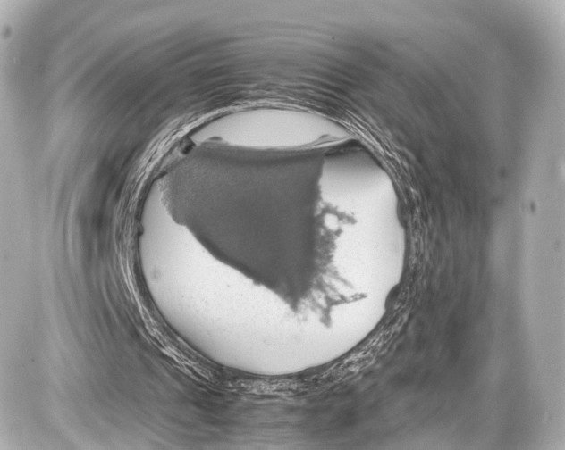 X0000087010241200705141838