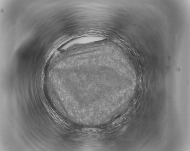 X0000087010242200705141838