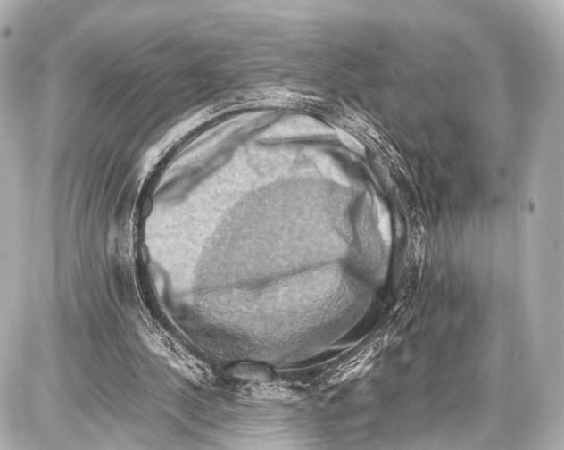 X0000087010244200705141838