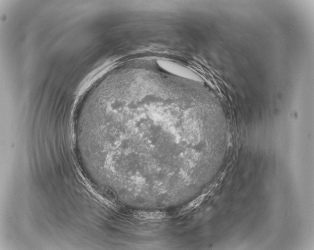 X0000087010245200705141838