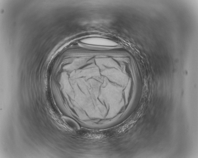 X0000087010247200705141838