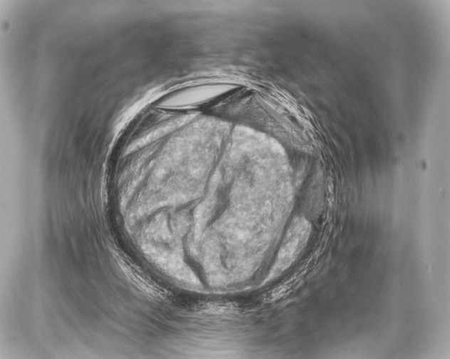 X0000087010248200705141838