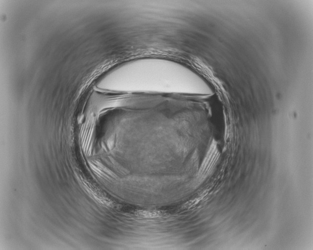 X0000087010250200705141838