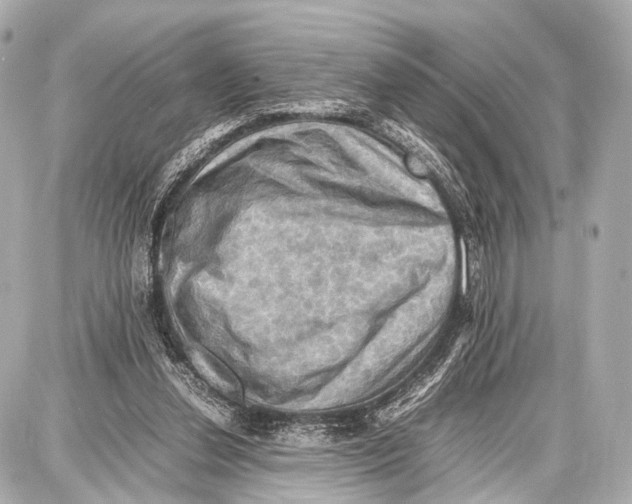 X0000087010252200705141838