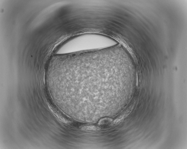 X0000087010253200705141838