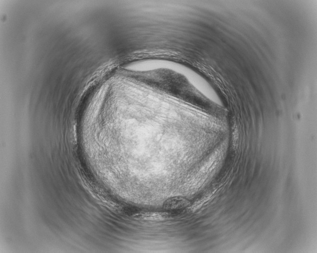 X0000087010254200705141838