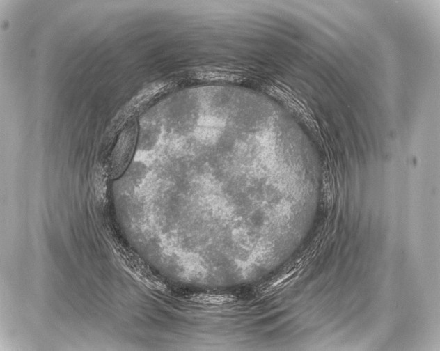 X0000087010255200705141838