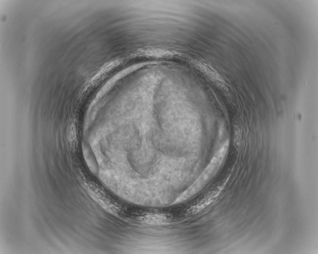 X0000087010256200705141838