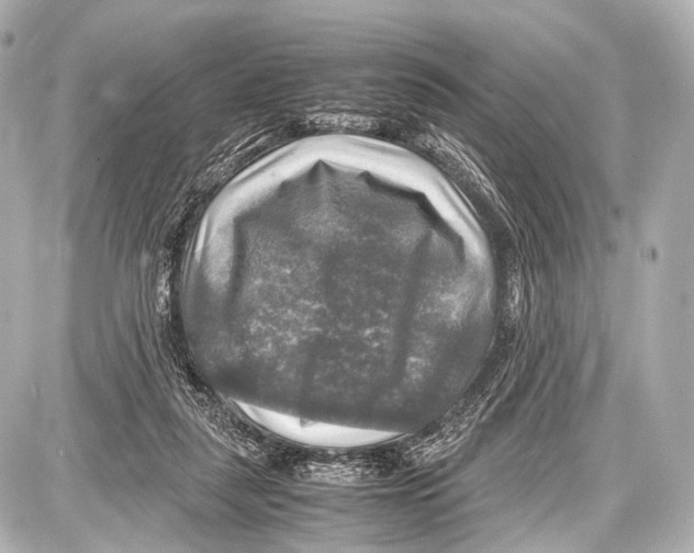 X0000087010259200705141838